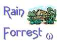 Rain Forrest (1)